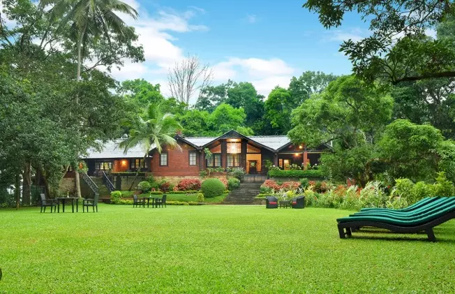 THE TREE OF LIFE or similar