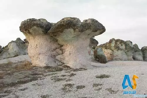 قارچ  سنگی غول پیکر در بلغارستان-الفبای سفر قارچ  سنگی غول پیکر در بلغارستان-الفبای سفر
