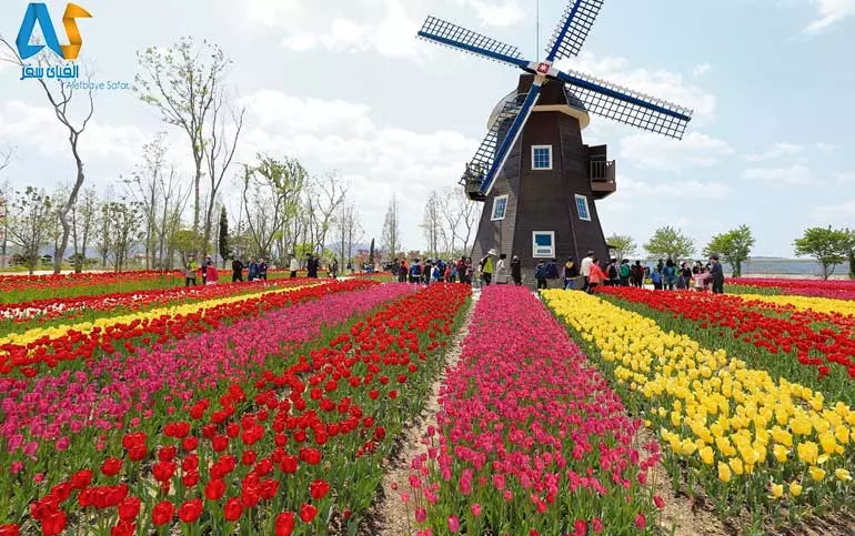 باغ گل شانگهای-الفبای سفر باغ گل شانگهای-الفبای سفر