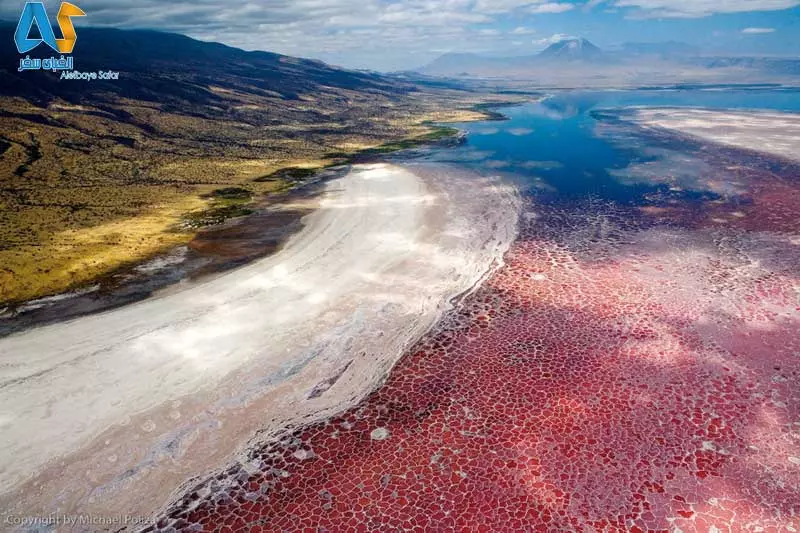 دریاچهی نمک ناترون در تانزانیا-الفبای سفر دریاچهی نمک ناترون در تانزانیا-الفبای سفر