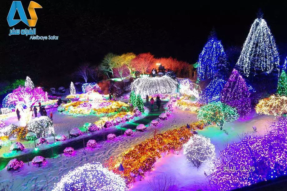 فستیوال نور ژاپن-الفبای سفر فستیوال نور ژاپن-الفبای سفر