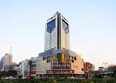 LANDISON PLAZA INTERNATIONAL