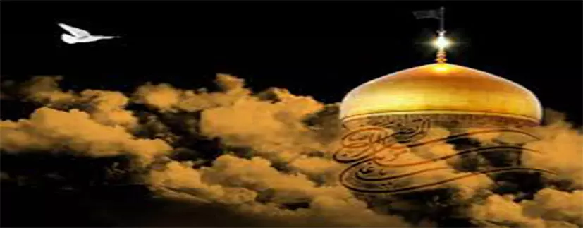 81130ce5-fe4d-45f3-ae93-4567a1a19cf9 81130ce5-fe4d-45f3-ae93-4567a1a19cf9