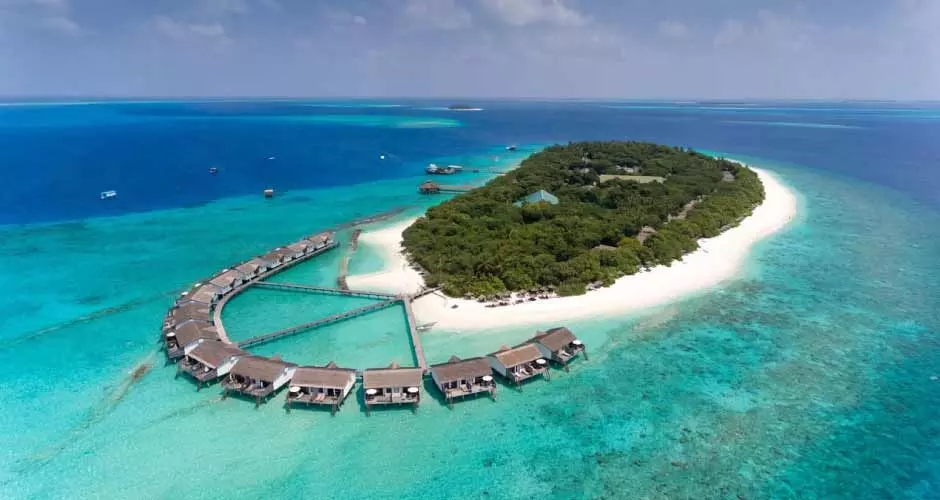 PARADISE ISLAND PARADISE ISLAND