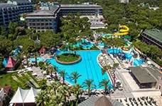 PAPILLON AYSCHA PAPILLON AYSCHA