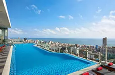 CINNAMON RED COLOMBO CINNAMON RED COLOMBO