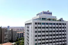 DEDEMAN DEDEMAN