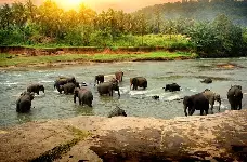 EDEN RESORT or CINNAMON BEY or HERITANCE AHUNGALLA EDEN RESORT or CINNAMON BEY or HERITANCE AHUNGALLA