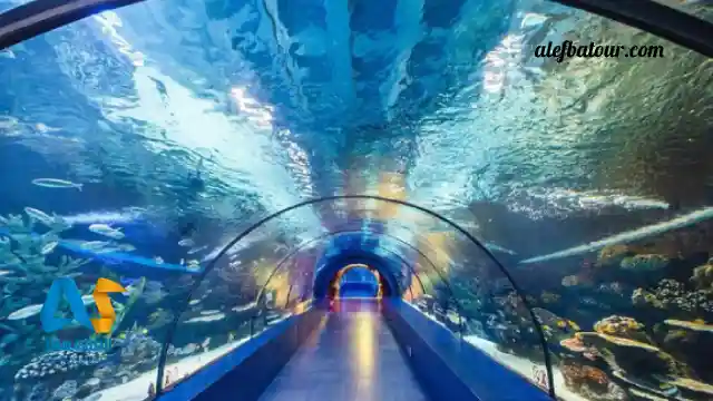 آکواریوم آنتالیا آکواریوم آنتالیا