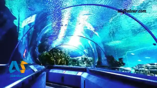 آکواریوم کوالالامپور مالزی آکواریوم کوالالامپور مالزی