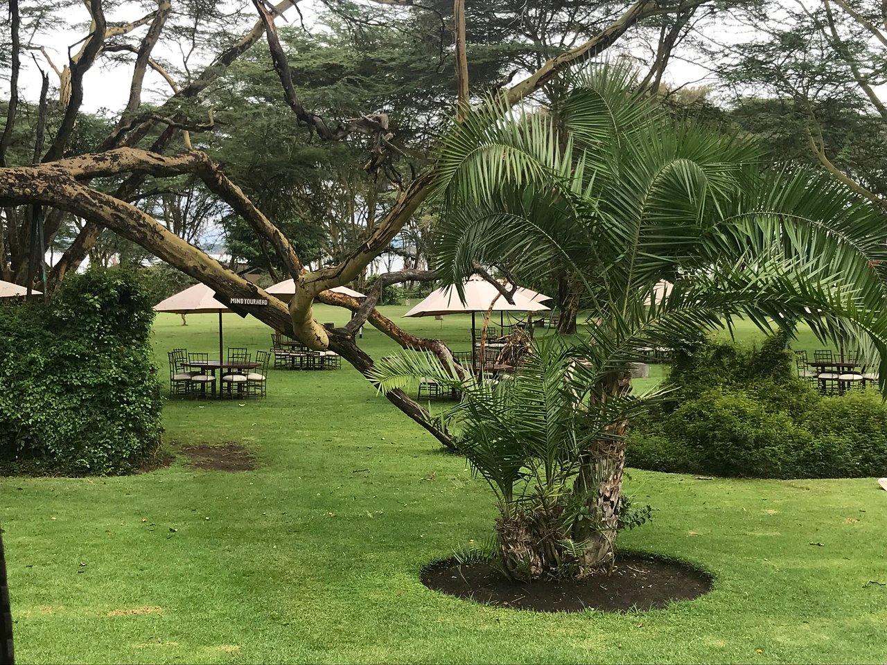 beautiful-grounds-at.jpg