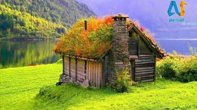 خانه های اسکاندیناوی با پشت بام سبز رنگ خانه های اسکاندیناوی با پشت بام سبز رنگ