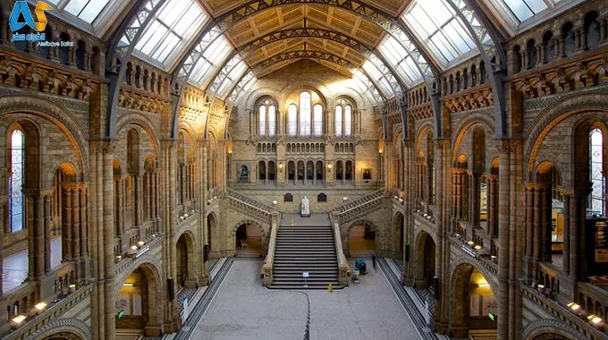 koli-min-3364 koli-min-3364