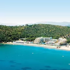 PALOMA PASHA PALOMA PASHA