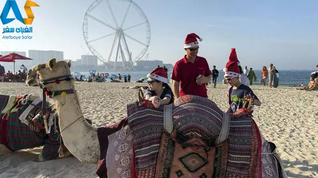 profile-7246 profile-7246