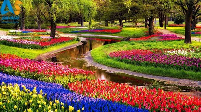 با جشنوارهای گلهای بهاری در سراسر دنیا آشنا شوید با جشنوارهای گلهای بهاری در سراسر دنیا آشنا شوید