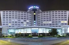 BEYNOL MELALI BEYNOL MELALI