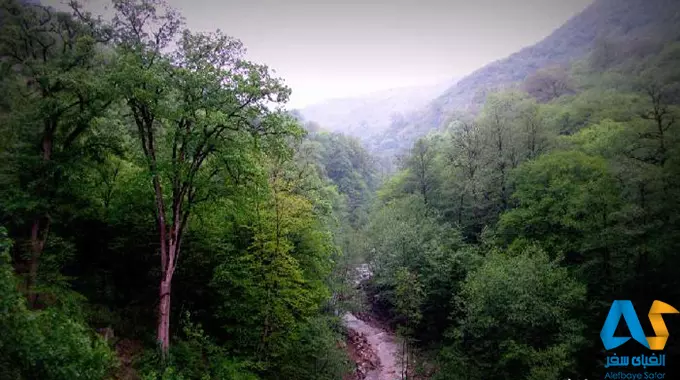 ثبت جنگل های هیرکانی به نام ایران