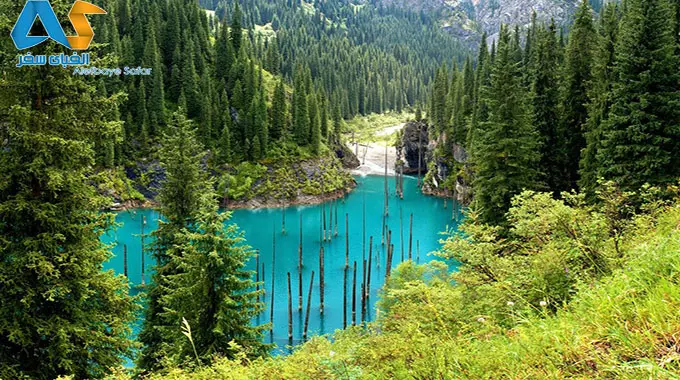 دریاچه ی عجیب در قزاقزستان با درختهای وارونه! دریاچه ی عجیب در قزاقزستان با درختهای وارونه!